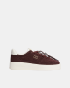 Ténis Mulher TOMMY HILFIGER Castanho EN0EN03122GSA