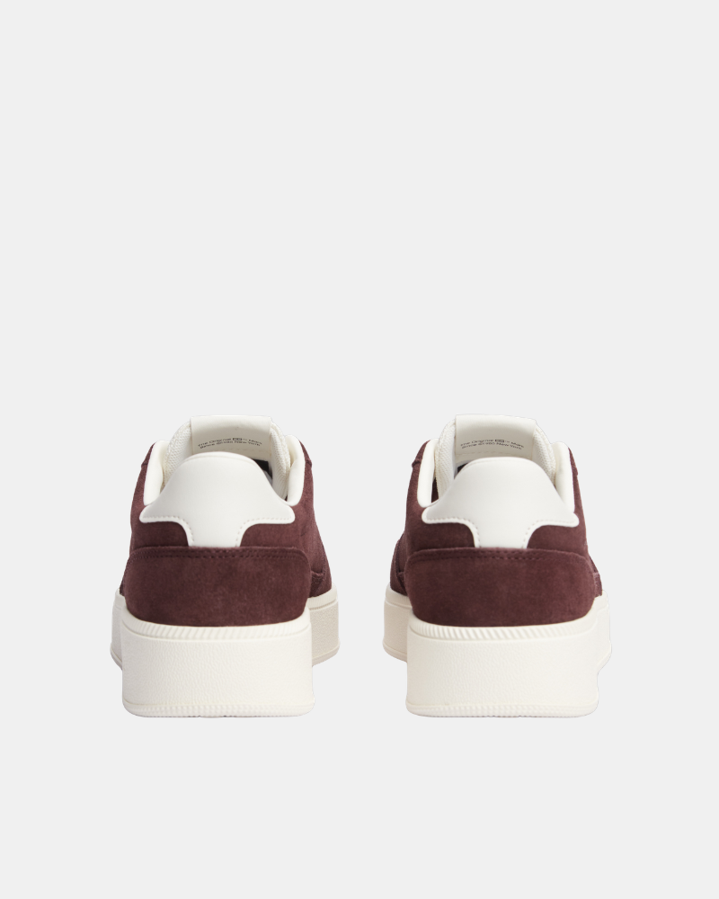 Ténis Mulher TOMMY HILFIGER Castanho EN0EN03122GSA