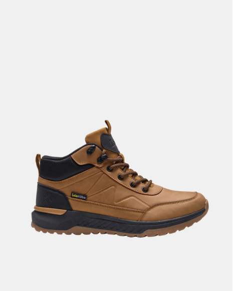 Botines Hombre LOIS Marrón 64552