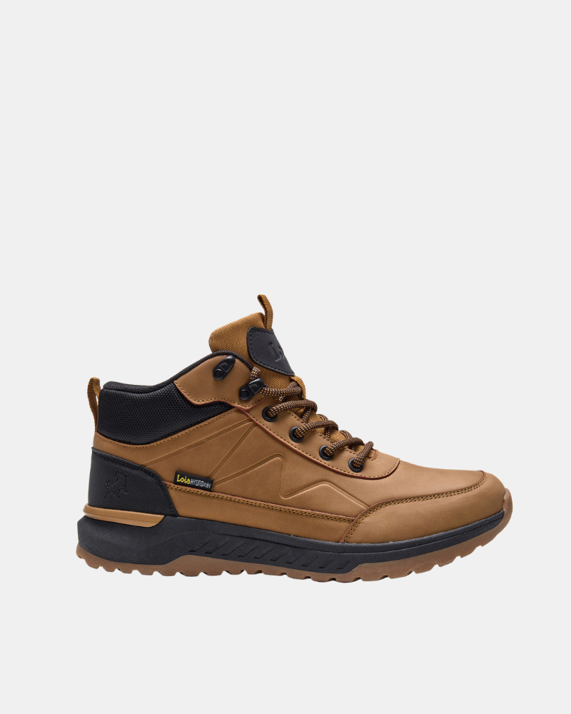 Botines Hombre LOIS Marrón 64552