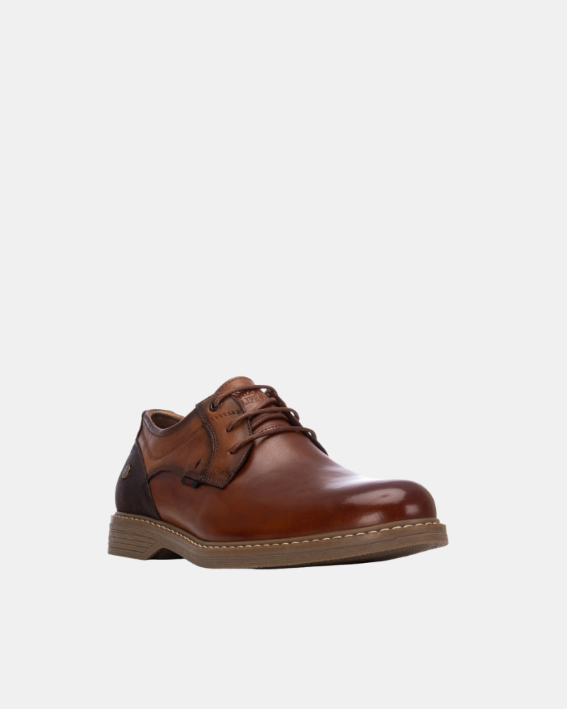 Zapatos Bajos Hombre  Marrón 164196