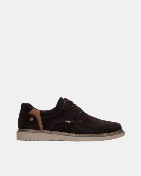 Zapatos Bajos Hombre  Marrón 164351
