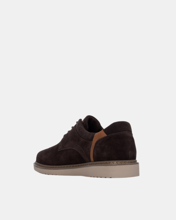 Zapatos Bajos Hombre  Marrón 164351