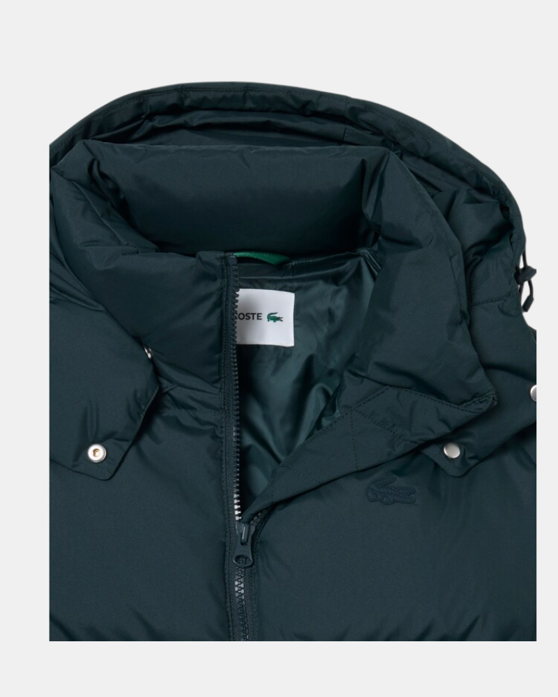 Abrigos de manga comprida Mulher LACOSTE Verde BF8434