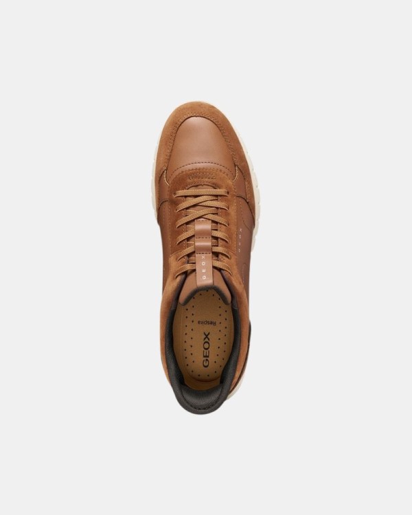 Zapatillas Bajas Hombre GEOX Marrón U66NEA 0BC22