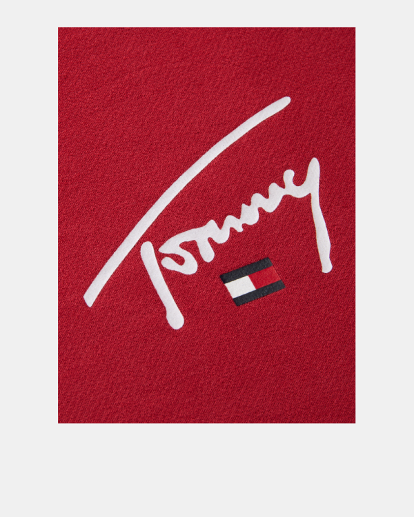 Sudaderas Sin capucha Hombre TOMMY HILFIGER Rojo DM0DM23589XKA